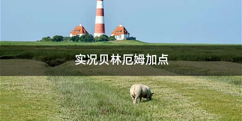 实况贝林厄姆加点