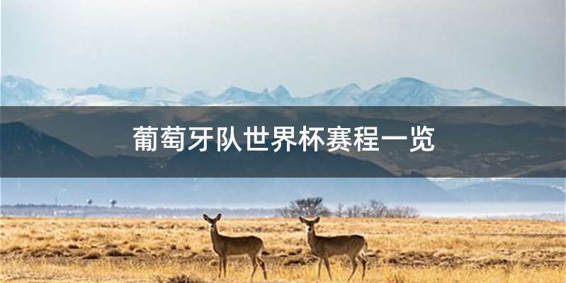 葡萄牙队世界杯赛程一览