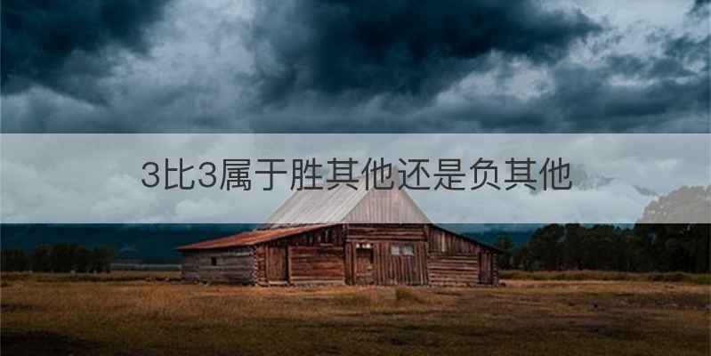 3比3属于胜其他还是负其他
