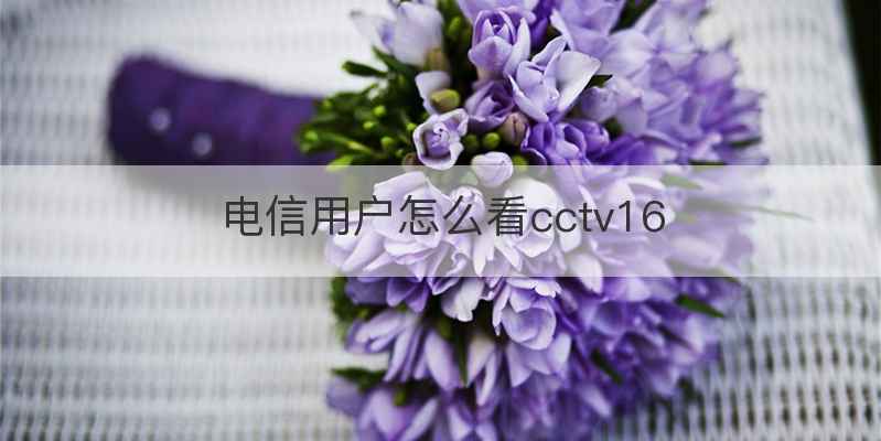 电信用户怎么看cctv16