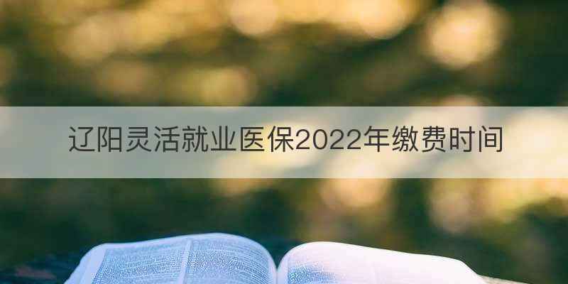辽阳灵活就业医保2022年缴费时间