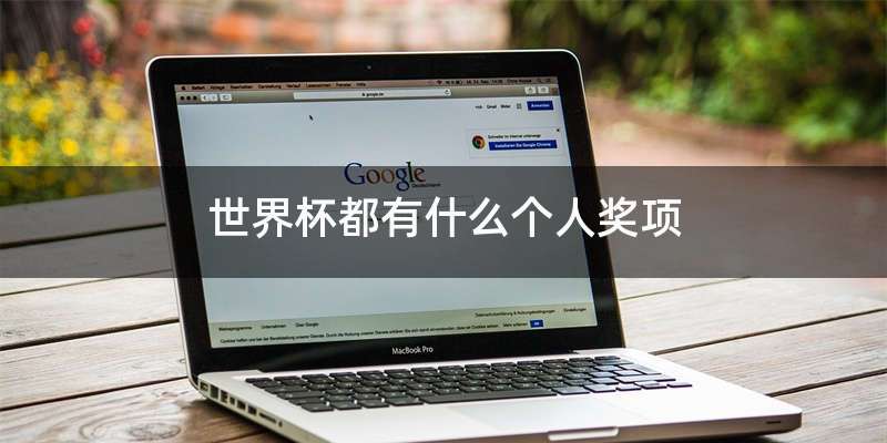 世界杯都有什么个人奖项