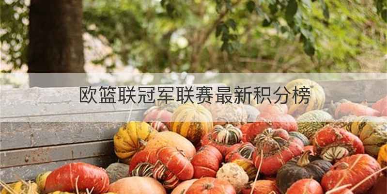 欧篮联冠军联赛最新积分榜