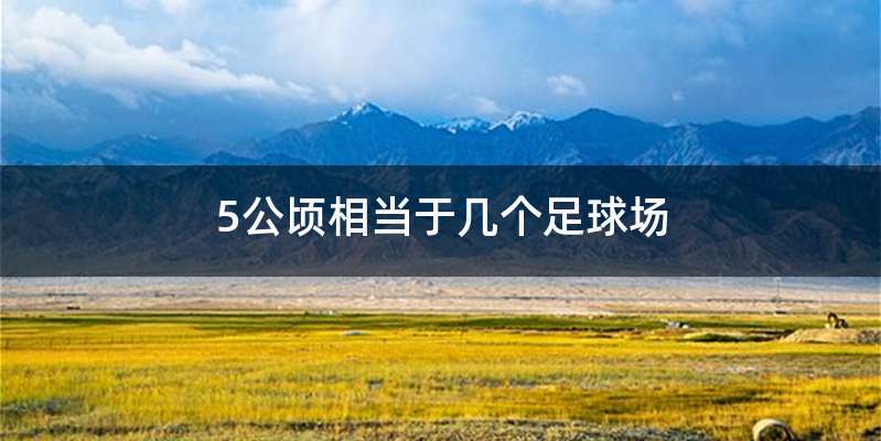 5公顷相当于几个足球场