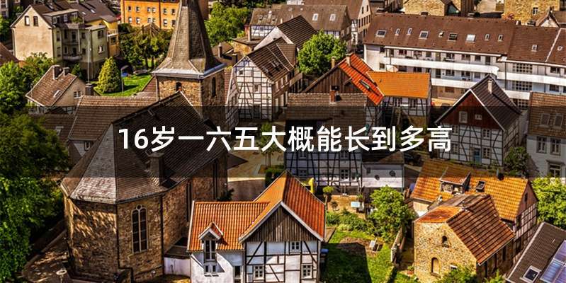16岁一六五大概能长到多高