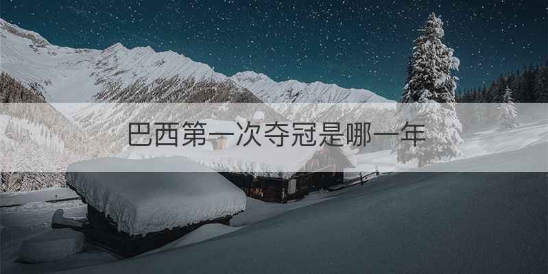 巴西第一次夺冠是哪一年