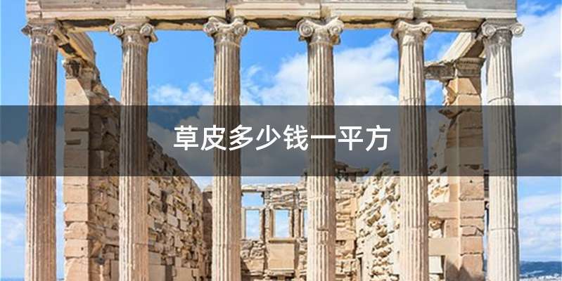 草皮多少钱一平方