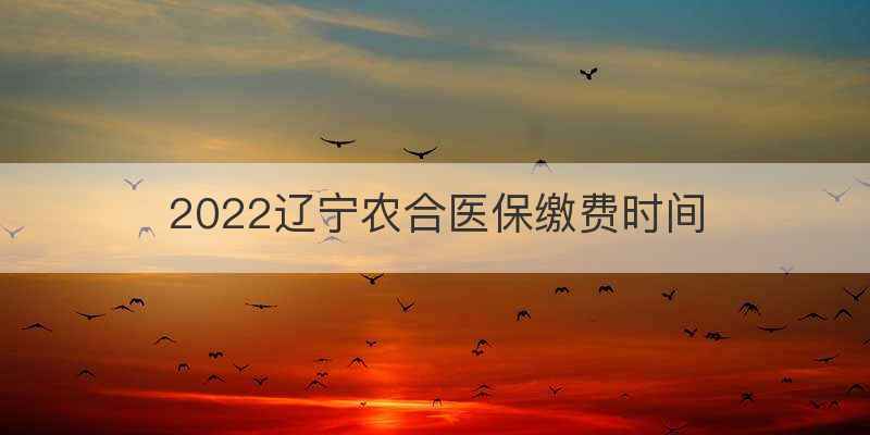 2022辽宁农合医保缴费时间