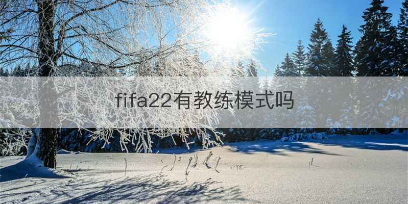 fifa22有教练模式吗
