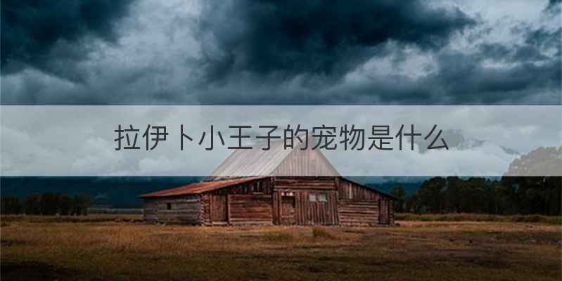 拉伊卜小王子的宠物是什么