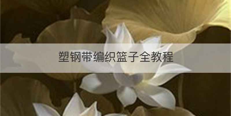 塑钢带编织篮子全教程
