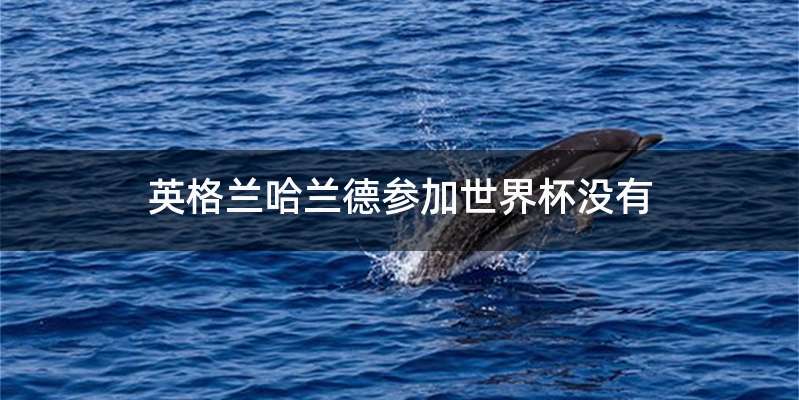 英格兰哈兰德参加世界杯没有