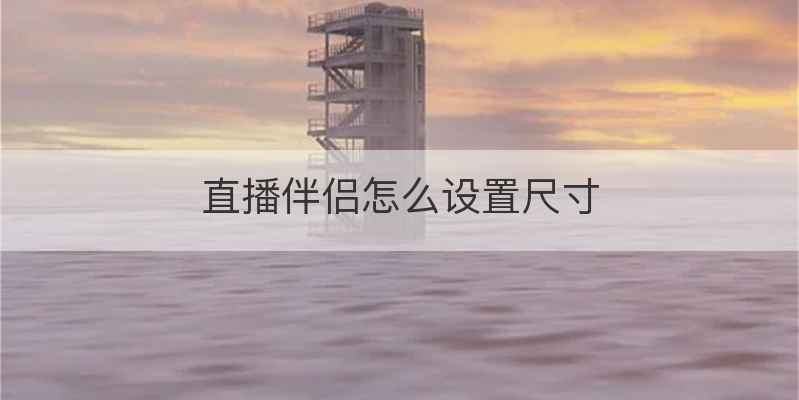 直播伴侣怎么设置尺寸