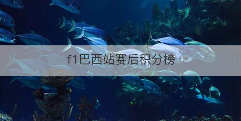 f1巴西站赛后积分榜