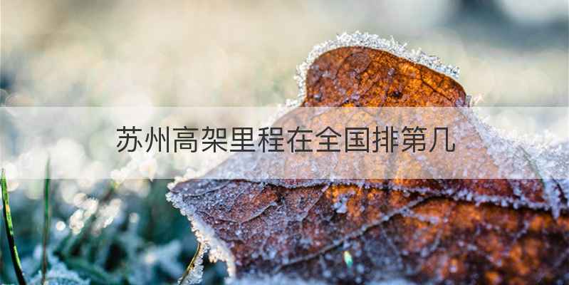 苏州高架里程在全国排第几