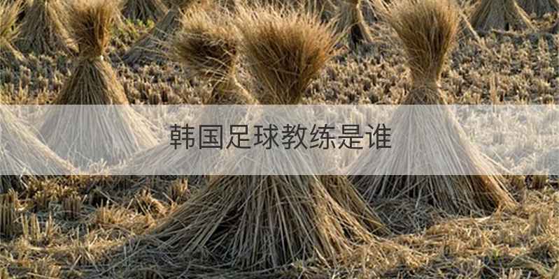 韩国足球教练是谁