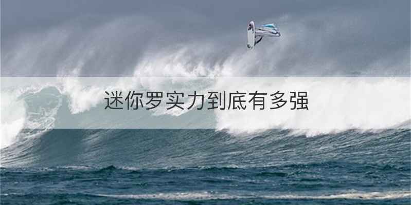 迷你罗实力到底有多强