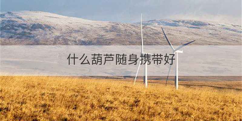 什么葫芦随身携带好