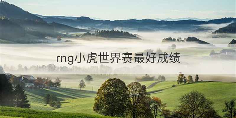 rng小虎世界赛最好成绩