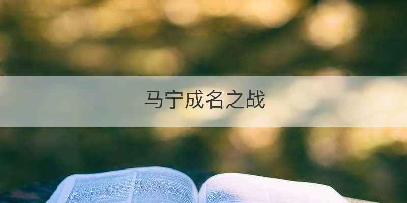 马宁成名之战