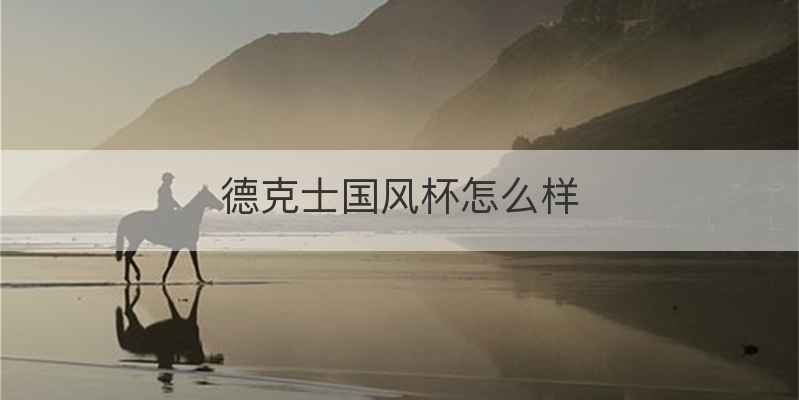 德克士国风杯怎么样