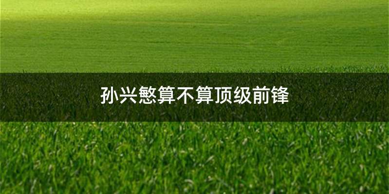 孙兴慜算不算顶级前锋