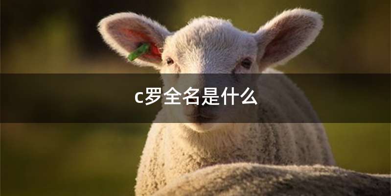 c罗全名是什么