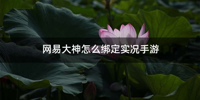 网易大神怎么绑定实况手游