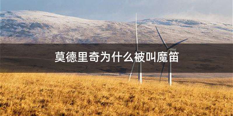 莫德里奇为什么被叫魔笛