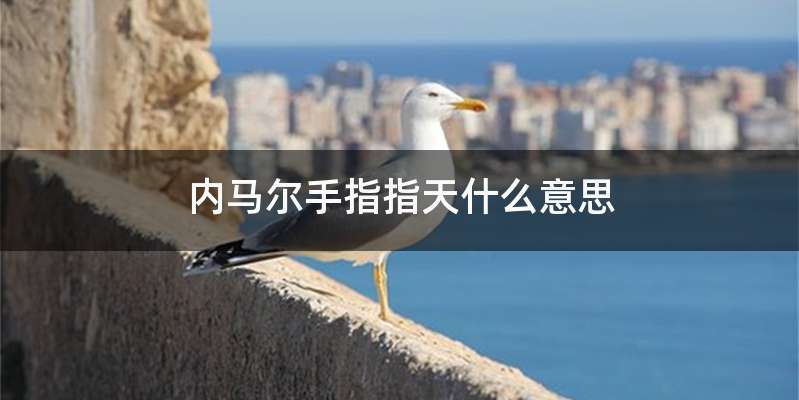 内马尔手指指天什么意思