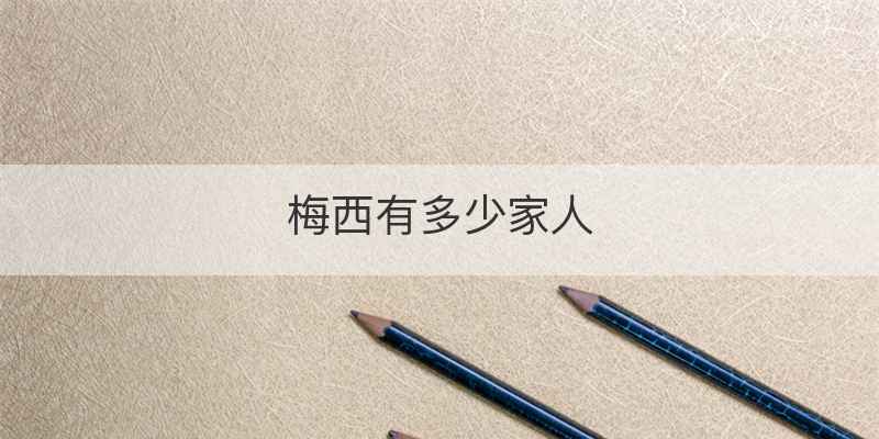 梅西有多少家人