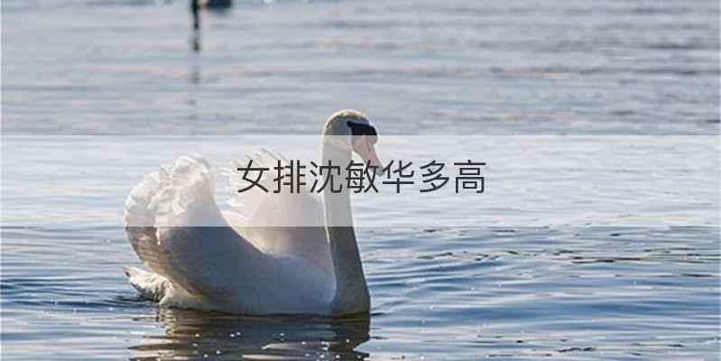 女排沈敏华多高