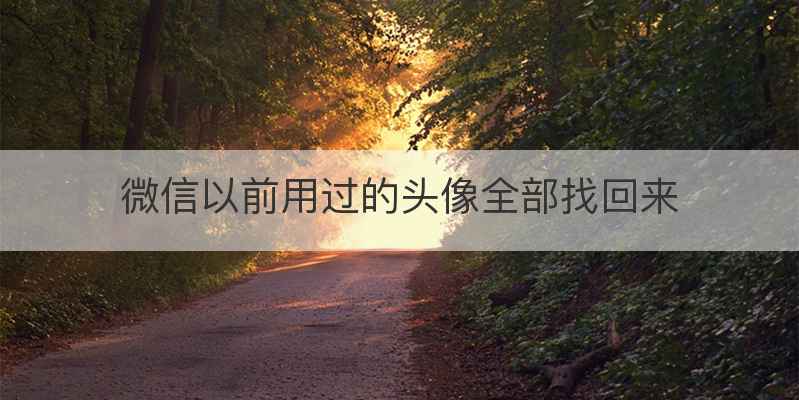 微信以前用过的头像全部找回来