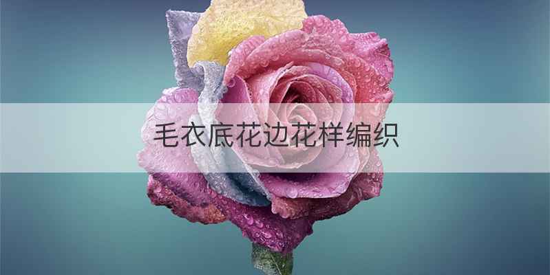 毛衣底花边花样编织