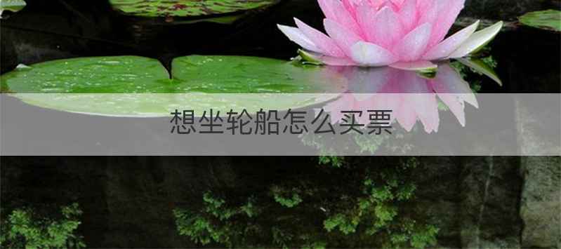想坐轮船怎么买票