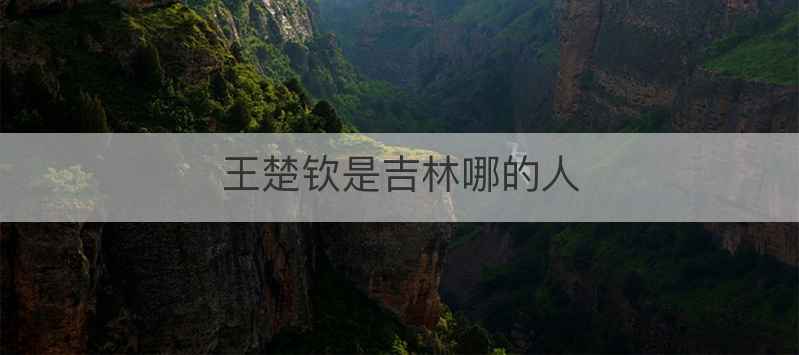 王楚钦是吉林哪的人