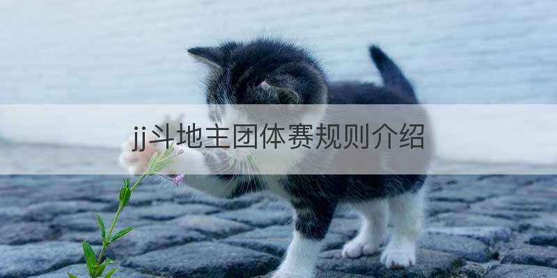 jj斗地主团体赛规则介绍