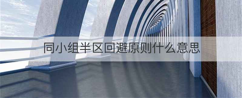 同小组半区回避原则什么意思