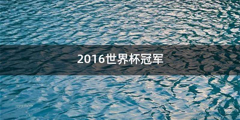 2016世界杯冠军