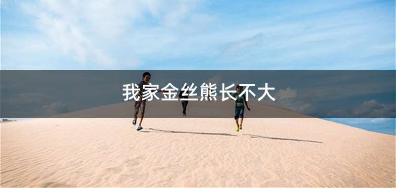 我家金丝熊长不大