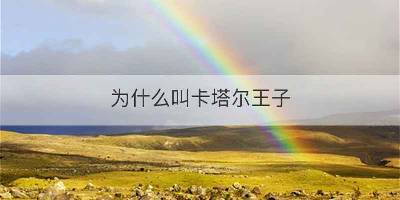 为什么叫卡塔尔王子