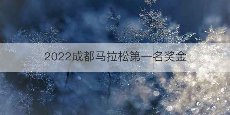2022成都马拉松第一名奖金