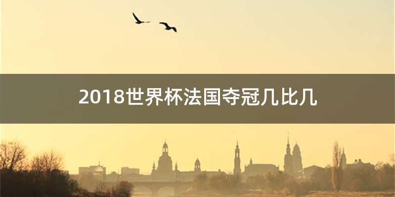 2018世界杯法国夺冠几比几