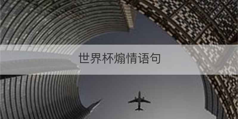 世界杯煽情语句