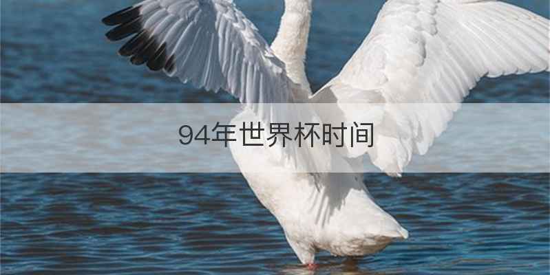94年世界杯时间
