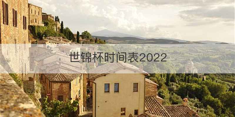 世锦杯时间表2022