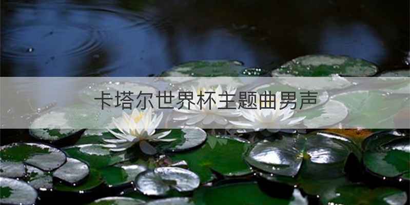 卡塔尔世界杯主题曲男声