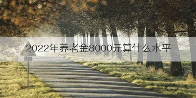 2022年养老金8000元算什么水平