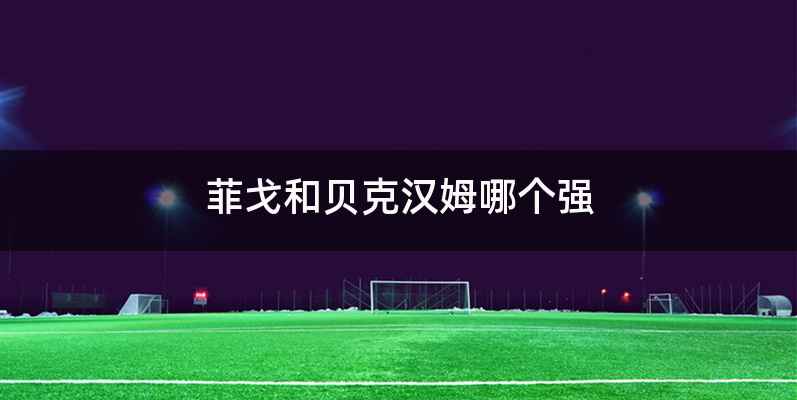 菲戈和贝克汉姆哪个强