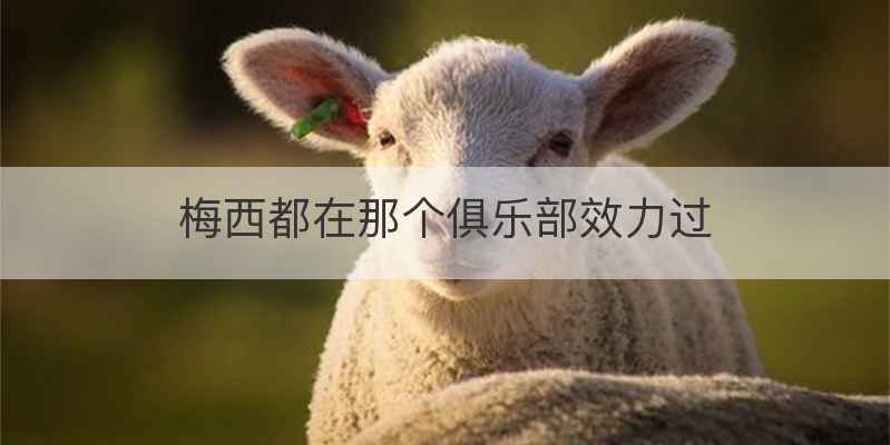 梅西都在那个俱乐部效力过